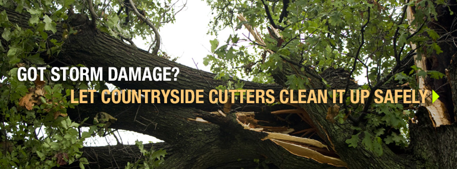 Safe Tree Removal in Shrewsbury, Stewartstown, New Freedom, Geln Rock, Redlion, Dallastown - Storm Damage? Let Country Cutters remove your damaged trees safely